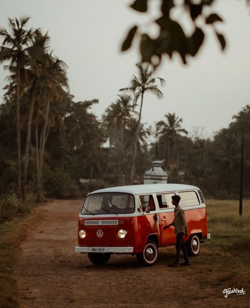 VW Bay Window on a palm-lined Goan road